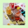 Bali　Land