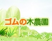 ゴムの木農園