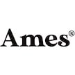 AMES-WORLDWIDE