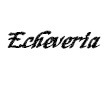 Echeveria