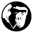 wise monkey