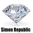 Simon Republic  jewellery