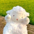 Romantic Sheep