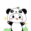 张の梦