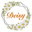 Deisy