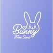 Bunny From Seoul