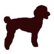 ヨリアイDOGS