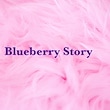 Blueberry Story