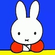 Miffy`s World