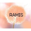 Ramis