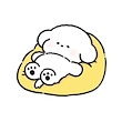 pingccc