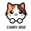 CARRY RISE