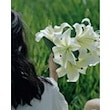 小さなもり森
