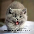 Blue Cat公式ショップ