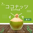 Ｃｏｃｏｎｕｔｓｈｏｐ