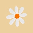 Ddaisy