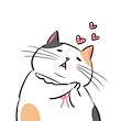 セクシーな小さな野良猫