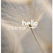 hello88
