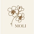 MOLI77