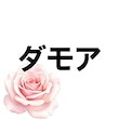 ダモアマム(DAMOAMAM)
