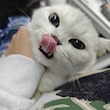 大衆に奉仕する