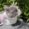 すべては人々のために