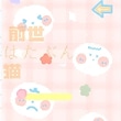 前世はたぶん猫