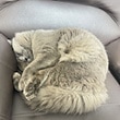 ワイズサクショップ