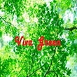 Viva Green 