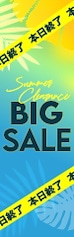 Q3_BIG SALE_END