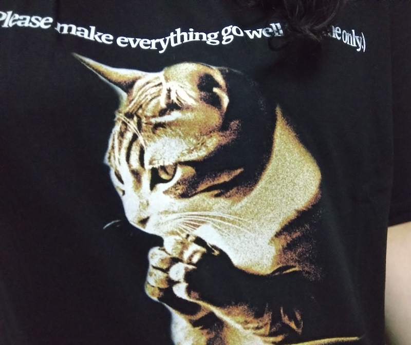 Qoo10 ITZAVIBE SKZリノPRAYING CAT プリン