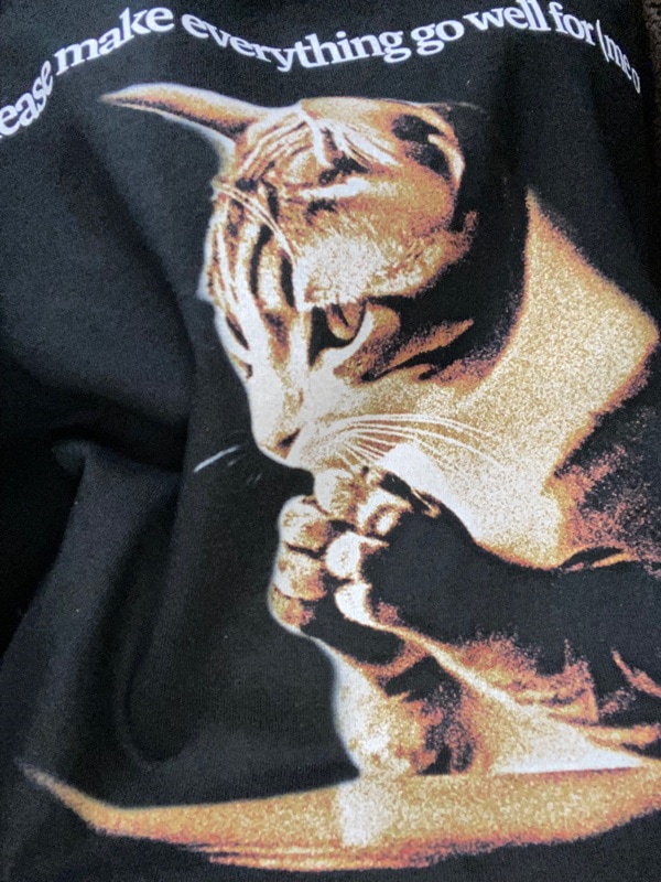 Qoo10 ITZAVIBE SKZリノPRAYING CAT プリン