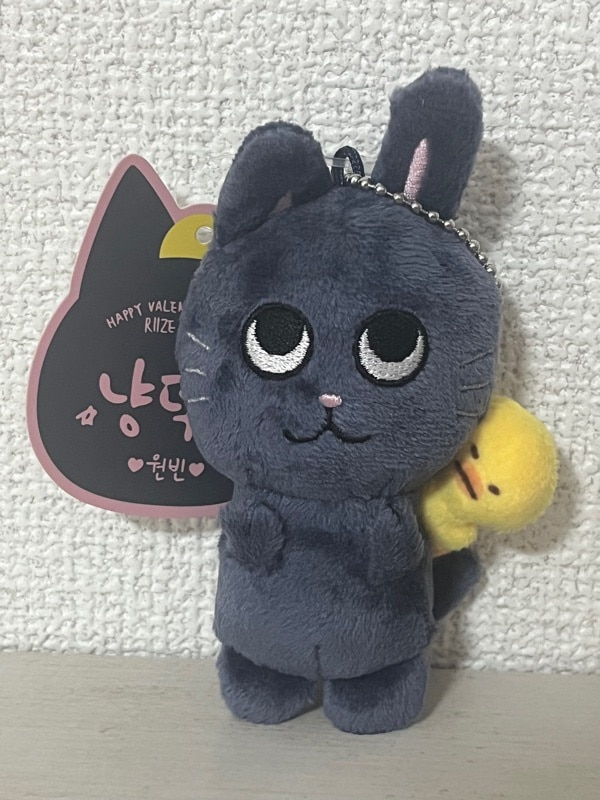 RIIZE ぬいぐるみ まとめ売り 楽天市場】RIIZE - 2025 WE LITTLE RIIZE - 20CM DOLL [6月発送予定