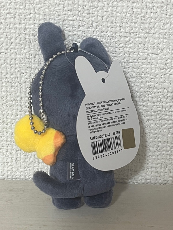 RIIZE公式グッズ 10cmドールキーリング ぬいぐるみ 6種まとめ売り RIIZE公式グッズ 10cmドールキーリング ぬいぐるみ 6種まとめ売り