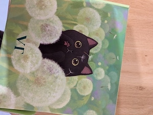 VT肌悩みニャンでも解決セット　アゼライン酸　ニキビ撲滅 VT肌悩みニャンでも解決セット 【アゼライン酸】 | milky blog