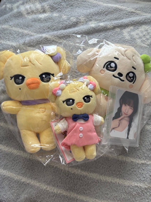 Qoo10] STARSHIPエンターテインメント 予約 IVE x MINIVE POP : KPOP