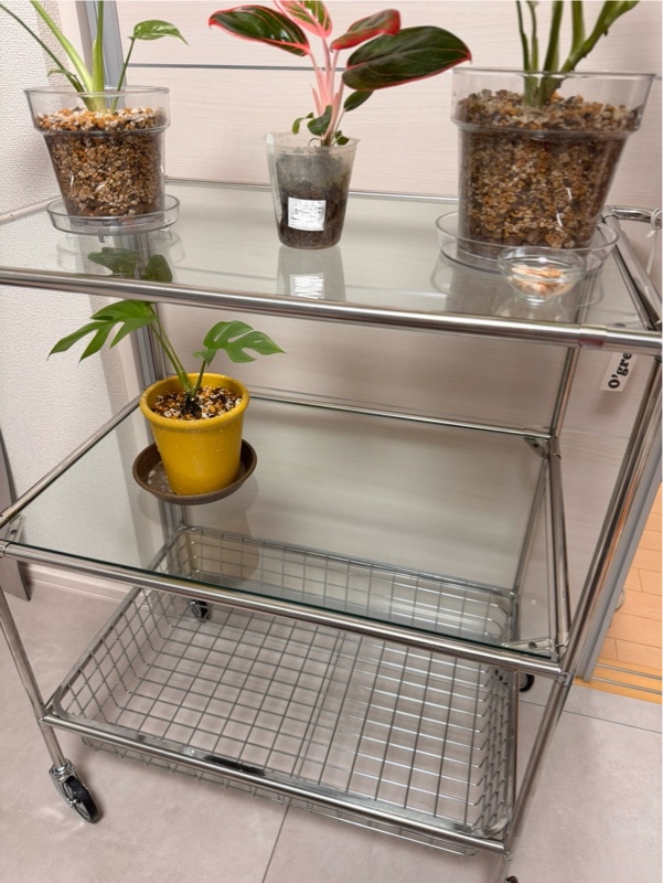 Qoo10] Ogre モジュール家具 3段 トロリー(透明ガラ : 家具・インテリア