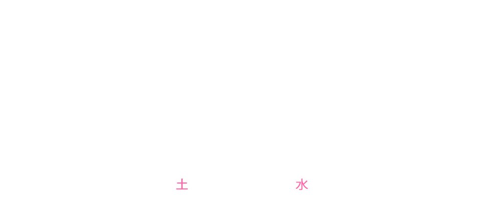 Beauty Sale