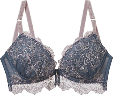 ブラジャー商品 1