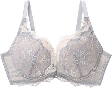 ブラジャー商品 2
