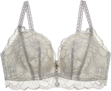 ブラジャー商品 3