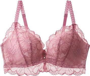 ブラジャー商品 5