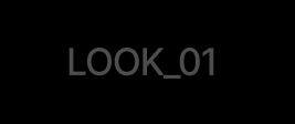 LOOK 01