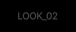 LOOK 02