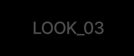 LOOK 03