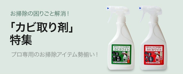 カビ取り剤特集