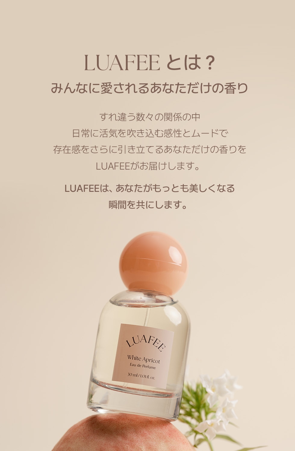 Qoo10 – 「LUAFEE(ルアぺ) 公式ショップ」のショップページです。
