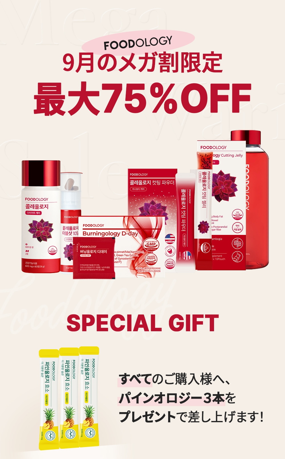 FOODOLOGY フードロジー 4箱セット FOODOLOGY フードロジー 4箱セット