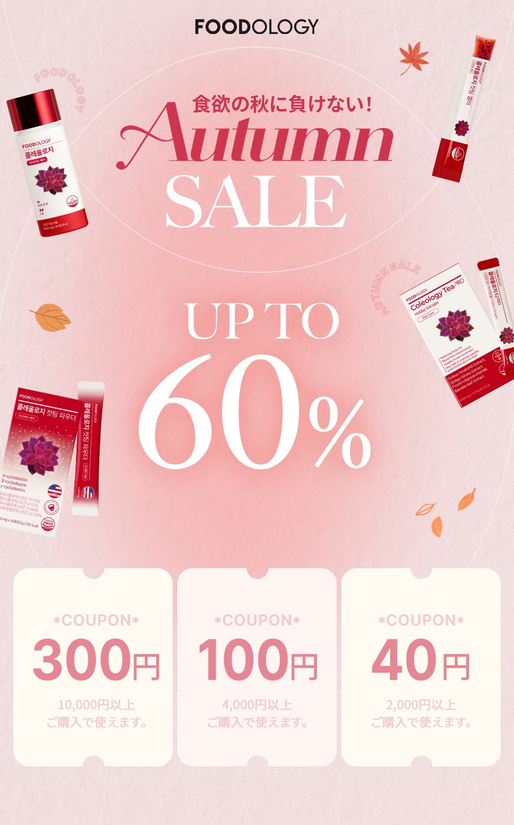 FOODOLOGY フードロジー 4箱セット imgrc0104419747.jpg