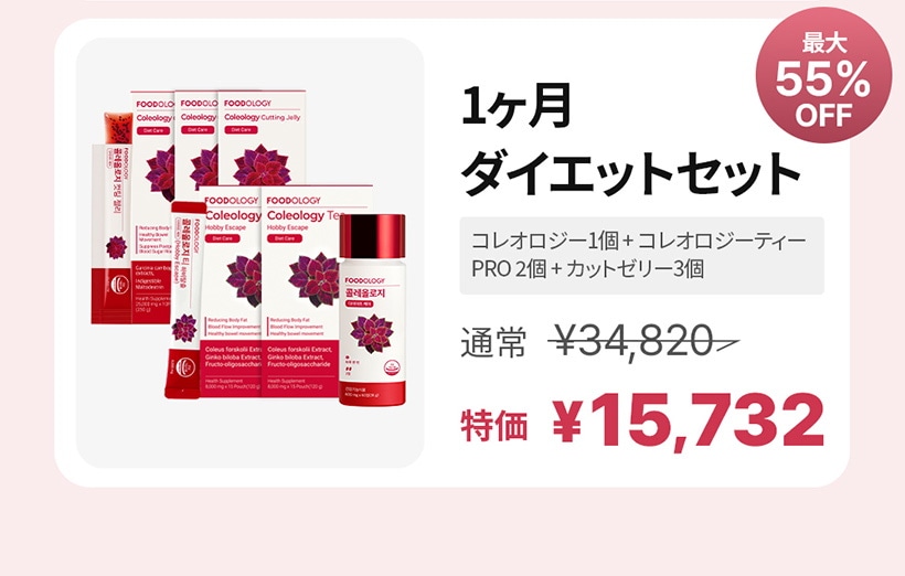 FOODOLOGY フードロジー 4箱セット FOODOLOGY フードロジー 4箱セット